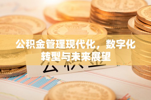 温泉公积金管理现代化，数字化转型与未来展望