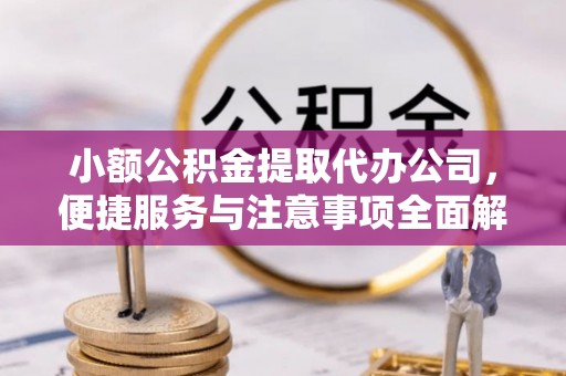 温泉小额公积金提取代办公司，便捷服务与注意事项全面解析