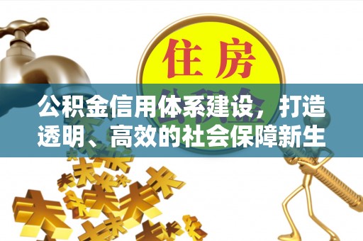 温泉公积金信用体系建设，打造透明、高效的社会保障新生态