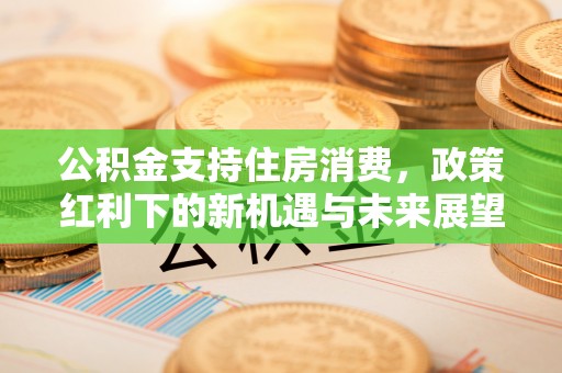 温泉公积金支持住房消费，政策红利下的新机遇与未来展望