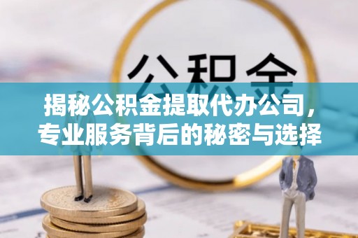 温泉揭秘公积金提取代办公司，专业服务背后的秘密与选择指南