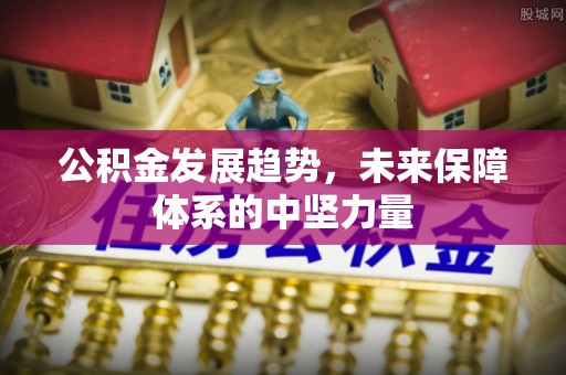 温泉公积金发展趋势，未来保障体系的中坚力量